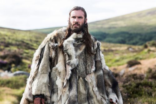 barba viking série